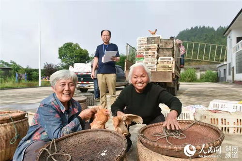 當(dāng)面鑼對(duì)面鼓 話說透干勁足